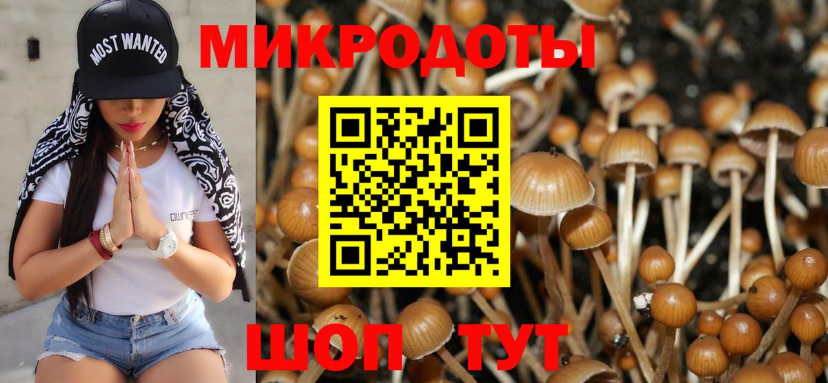 Галлюциногенные грибы Magic Shrooms Миасс