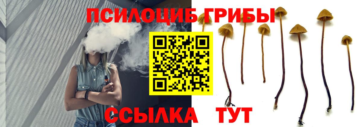 Галлюциногенные грибы GOLDEN TEACHER  хочу   Миасс  Вход с VPN 